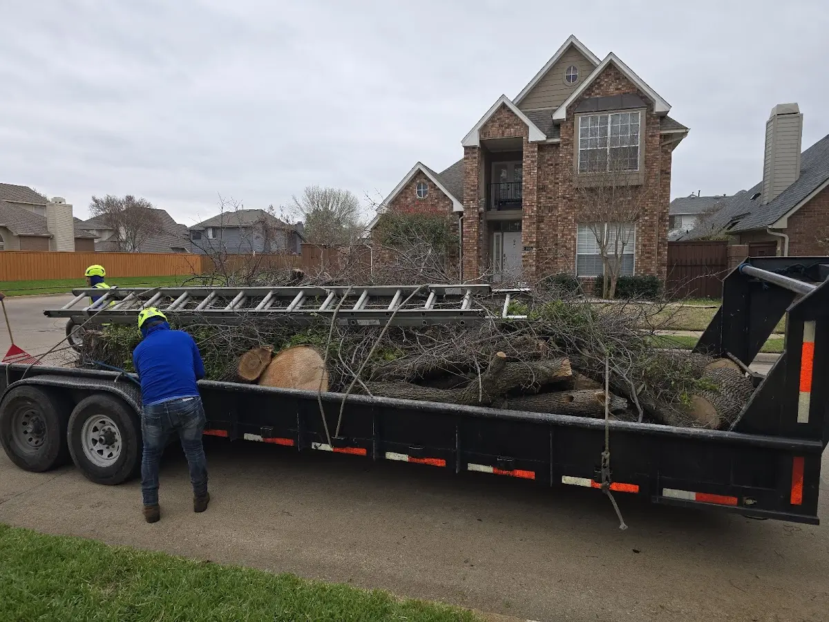 Expert Tree Pest Control with proper safety equipment in Interlachen